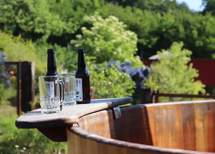 Maison Independante Avec Nordique, Piscine Partagee Et Jardin - Fr-1-497-116 Semesterbostad